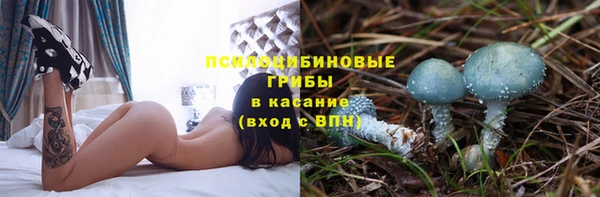 винт Горнозаводск